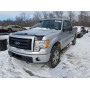 2010 Ford F150 Super 4.6L vin: 1FTEX1EW8AF******