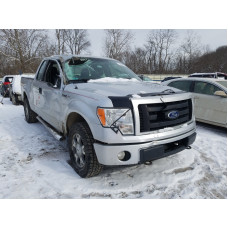2010 Ford F150 Super 4.6L vin: 1FTEX1EW8AF******