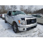 2010 Ford F150 Super 4.6L vin: 1FTEX1EW8AF******