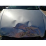 2013 Chevrolet Impala Ltz 3.6L vin: 2G1WC5E35D1******