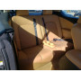 2014 Nissan Murano Cro 3.5L vin: JN8AZ1FY4EW******