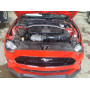 2019 Ford Mustang Gt 5.0L vin: 1FA6P8CF0K5******